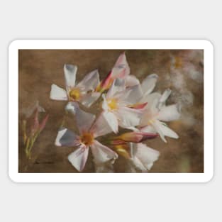 Soft Pink Blush Oleander Digital Art Sticker